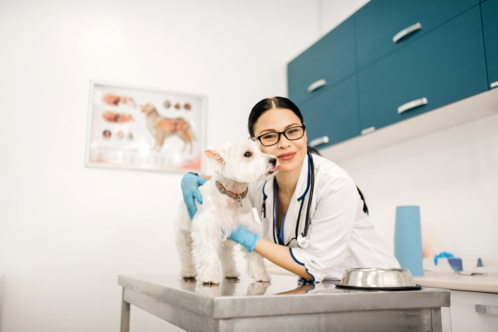 A guide to buying and selling a veterinary practice