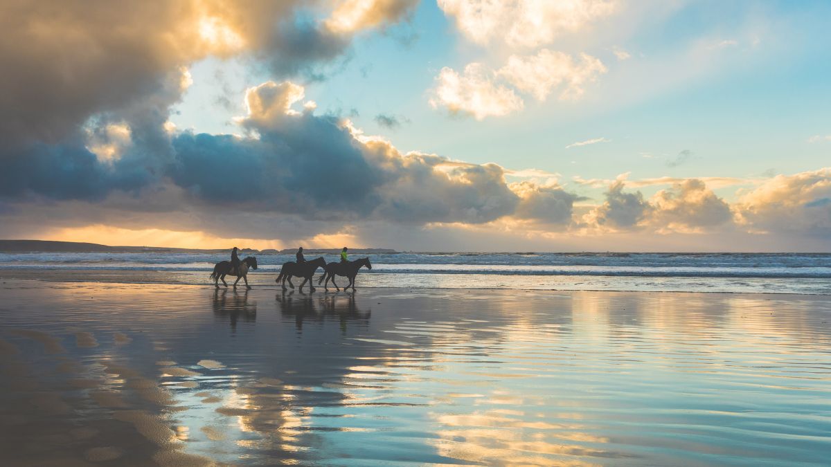 Horses on a beach in England