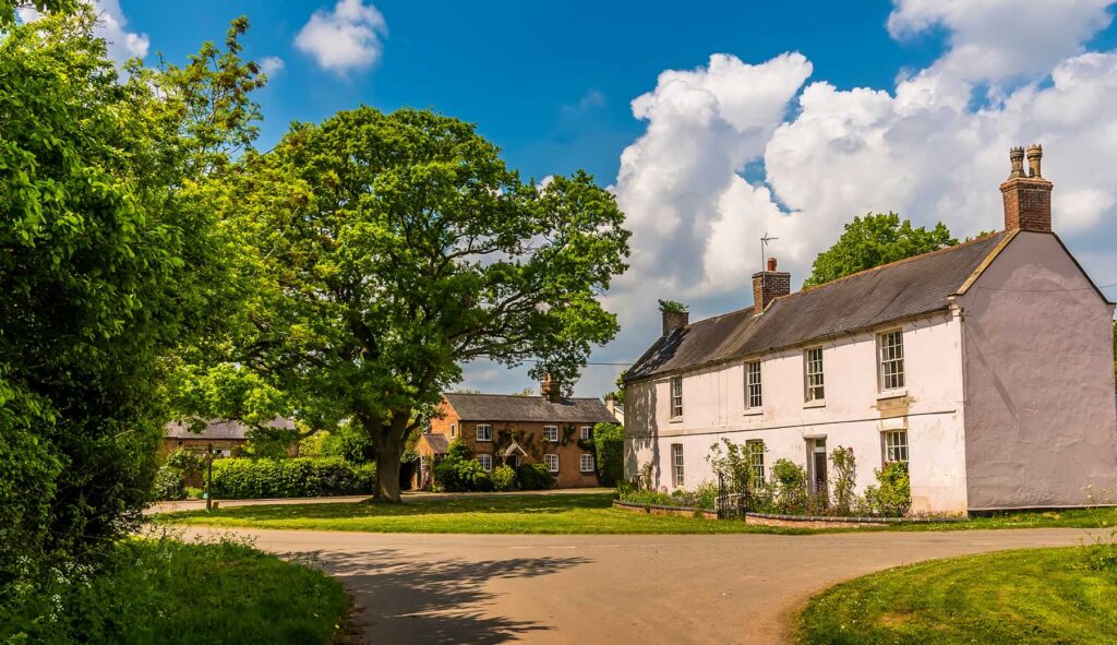 Do you need permission to cut down a tree?