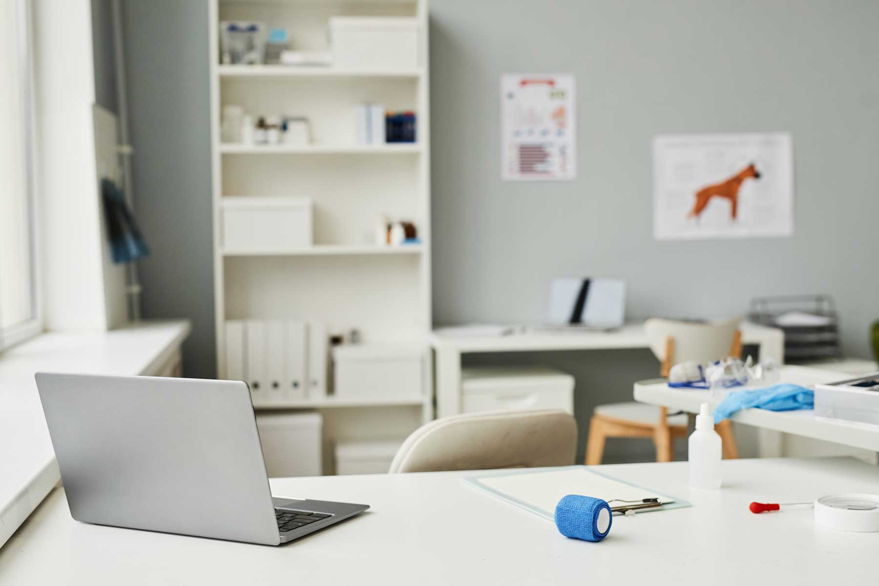 veterinary practice keeping up with cma veterinary reforms