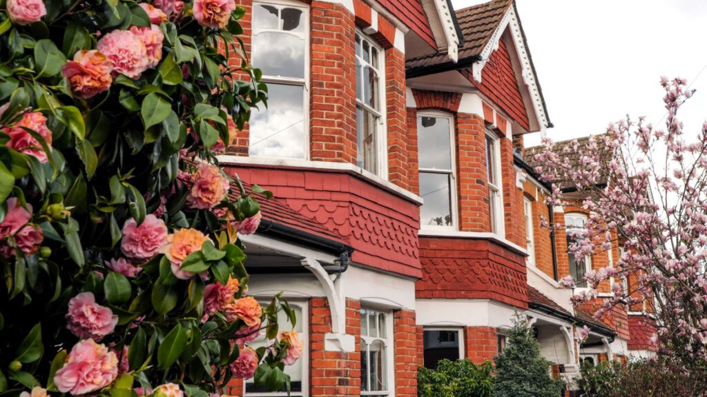 Red-brick houses framed by pink camellias and a flowering magnolia tree
