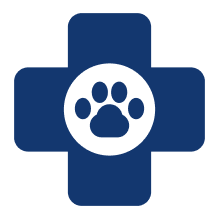 Veterinary